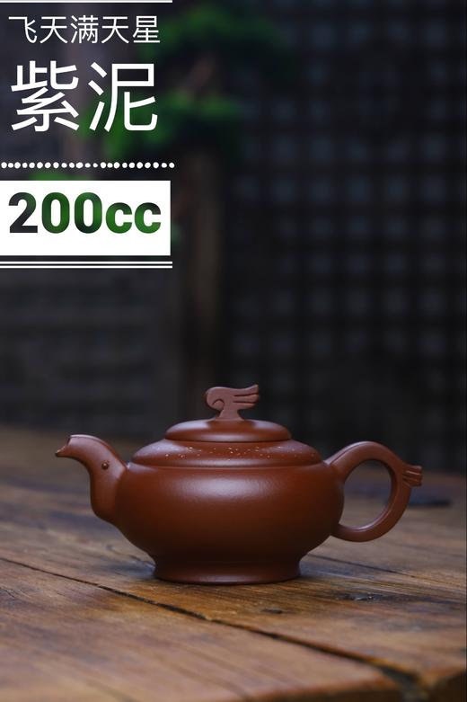 【飞天满天星】作者：范亚娟 泥料：紫泥 容量：200cc 商品图0
