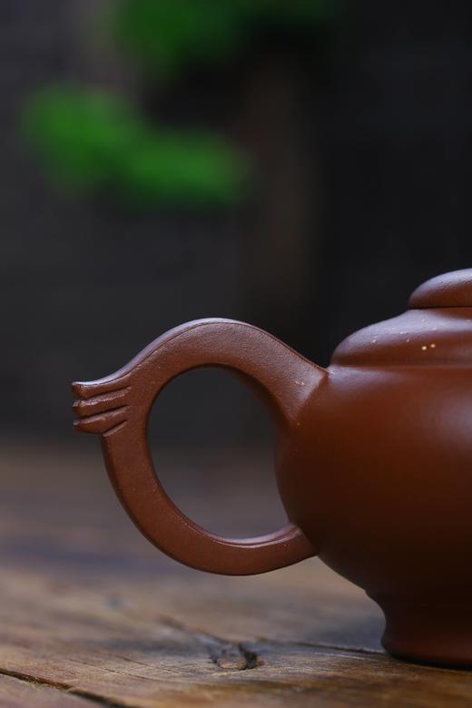 【飞天满天星】作者：范亚娟 泥料：紫泥 容量：200cc 商品图2