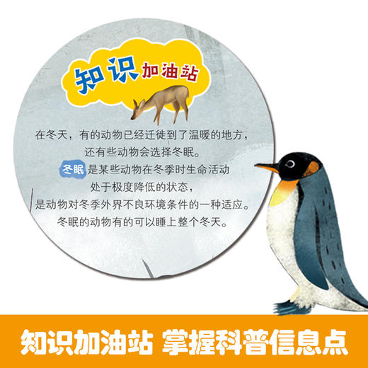 科普启蒙 小小动物图书馆 2+宝宝版(30册) 商品图3