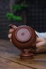 【飞天满天星】作者：范亚娟 泥料：紫泥 容量：200cc 商品缩略图4