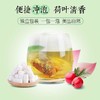 【每天1杯,瘦成小蛮腰】玉叶金花茯苓冬瓜荷叶茶 1盒x20包 祛湿润肠排毒 商品缩略图2