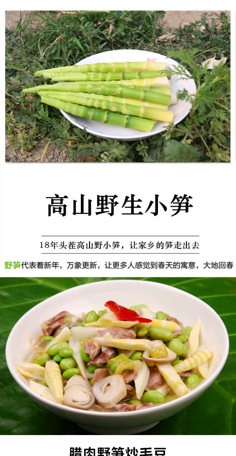 同城快送高山野笋小笋5斤小竹笋春笋手指笋鲜嫩出肉率高鲜嫩野笋5斤