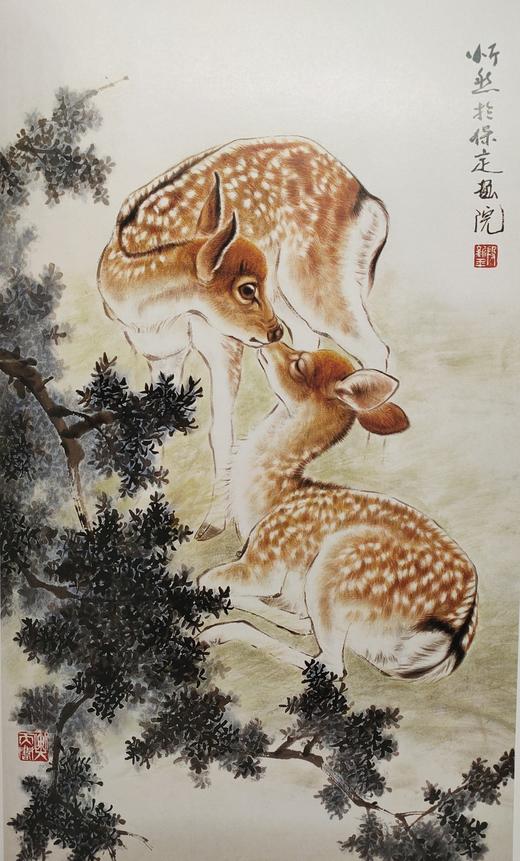 中国近现代名家画集：段忻然 商品图6