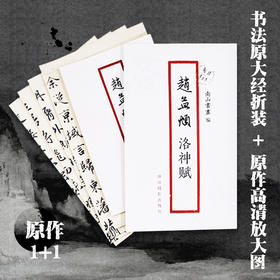 赵孟頫洛神赋 书法原大经折装原作高清放大图 原作1+1折页毛笔书法字帖临摹描红行书毛笔书法墨迹鉴赏收藏 南山书画赵孟俯行书字帖浙江摄影出版社