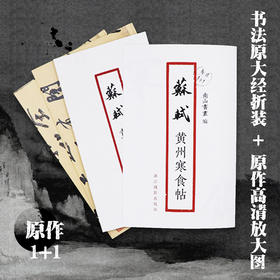 苏轼黄州寒食帖 书法原大经折装原作高清放大图 原作1+1折页毛笔书法字帖临摹描红行书毛笔书法墨迹鉴赏收藏 南山书画苏轼行书字帖浙江摄影出版社