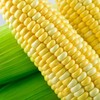 甜玉米    500g±50g/份 商品缩略图2
