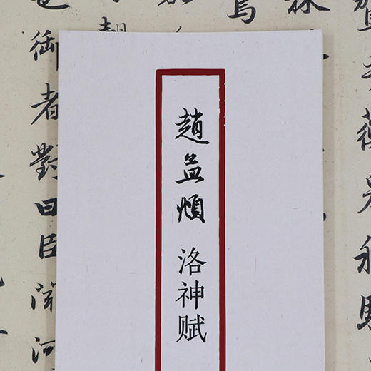 赵孟頫洛神赋 书法原大经折装原作高清放大图 原作1+1折页毛笔书法字帖临摹描红行书毛笔书法墨迹鉴赏收藏 南山书画赵孟俯行书字帖浙江摄影出版社 商品图3