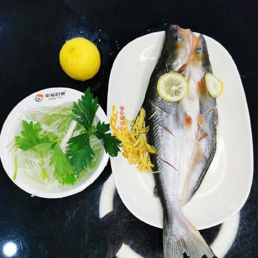 雪尔筷生活无骨巴沙鱼350g/条+调味料+柠檬1个+烹饪视频 商品图0