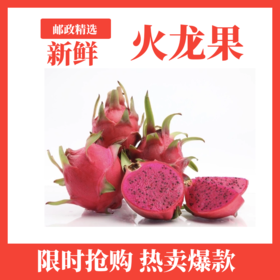 海南京都一号红心火龙果（小果）—1kg（3-4个）