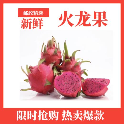 海南京都一号红心火龙果（小果）—1kg（3-4个） 商品图0