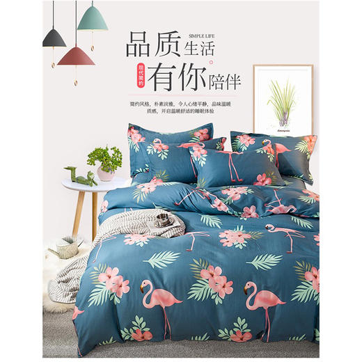 【超值单品】百思寒简约全棉亲肤四件套 商品图0