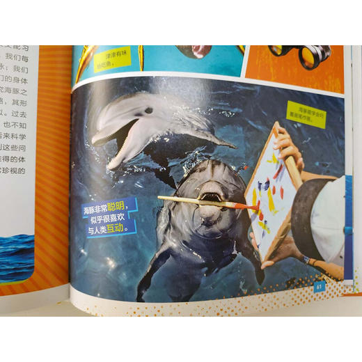 美国国家地理：海豚（超级专家系列） 商品图4