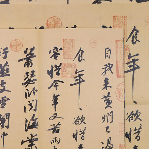 苏轼黄州寒食帖 书法原大经折装原作高清放大图 原作1+1折页毛笔书法字帖临摹描红行书毛笔书法墨迹鉴赏收藏 南山书画苏轼行书字帖浙江摄影出版社 商品图4