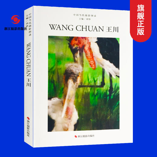 中国当代摄影图录：王川精装刘铮 观念摄影艺术家世界当代摄影大师成名作摄影高清作品集/新纪实摄影照片解析/摄影作品画册鉴—浙江摄影出版社 商品图0