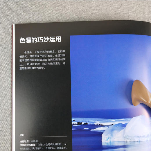 用光之道/风光摄影四部曲摄影基础知识教程器材理论教材/构图和用光/风景人像建筑静物动物拍摄技巧/摄影设计绘画用光与构图畅销书—浙江摄影出版社 商品图4