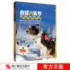 救援犬佐罗（影像青少版）彩色照片插图动物小说儿童冒险成长故事书儿童文学8-10-12岁小学生课外阅读书籍4-6年级必读畅销老师推荐—浙江摄影出版社 商品缩略图0