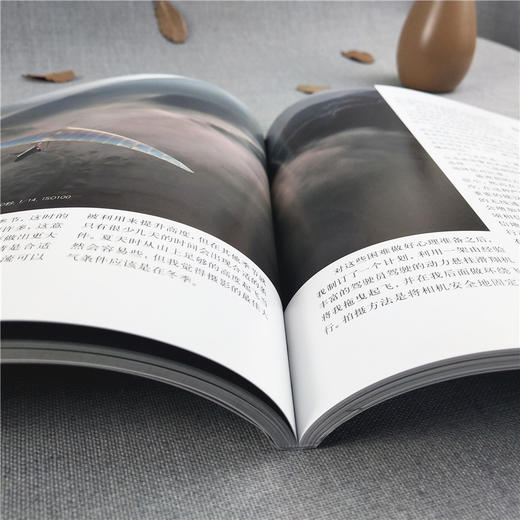 摄影的灵感.风光 创意摄影技术创作灵感技巧摄影技法入门教程摄影高手的风光摄影佳作 摄影大师作品集摄影艺术画册书籍—浙江摄影出版社 商品图3