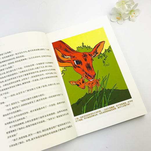 小鹿斑比(插图本)童年书系正版包邮青少版/正版世界经典名著故事书/儿童书7-10-12岁五四三年级小学生课外书必读儿童文学书籍—浙江摄影出版社 商品图3