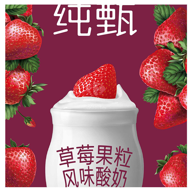 蒙牛纯甄草莓果粒风味酸奶200g*10盒