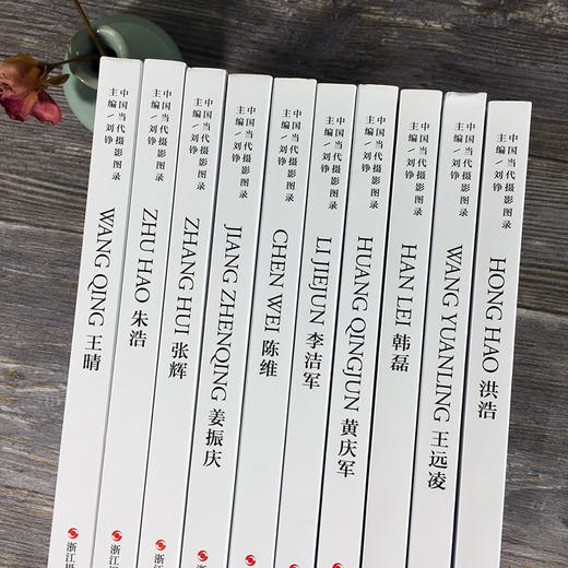 中国当代摄影图录 姜振庆/陈维/洪浩/韩磊/黄庆军/李洁军/王远凌/张辉/朱浩/王晴 摄影照片解析摄影画册精装图鉴 摄影艺术鉴赏品鉴—浙江摄影出版社 商品图2