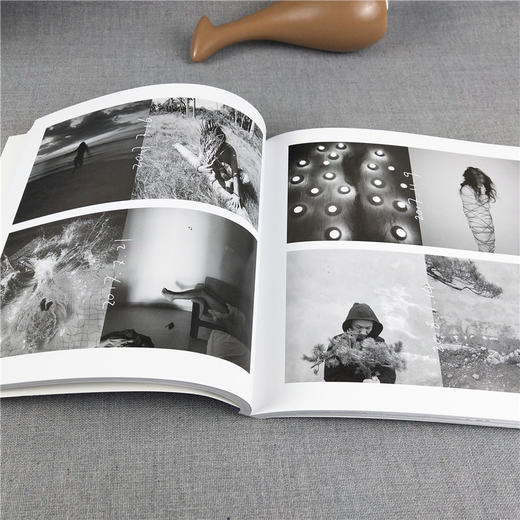 转译：2019年度三影堂摄影奖作品展 单反摄影艺术构图技法入门参考书籍 大师摄影高清作品集摄影作品画册 浙江摄影出版社—浙江摄影出版社 商品图4