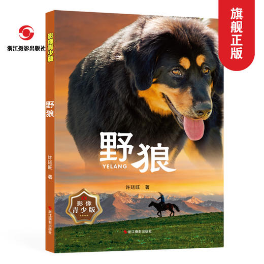 野狼（影像青少版）六五四三年级小学生课外书必读儿童文学书籍/许廷旺动物小说全集/少儿图书8-12岁彩图插画正版内蒙古草原犬故事—浙江摄影出版社 商品图0