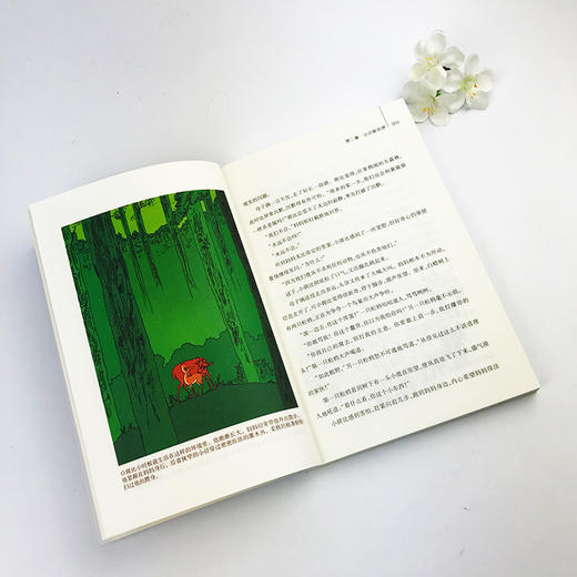 小鹿斑比(插图本)童年书系正版包邮青少版/正版世界经典名著故事书/儿童书7-10-12岁五四三年级小学生课外书必读儿童文学书籍—浙江摄影出版社 商品图2