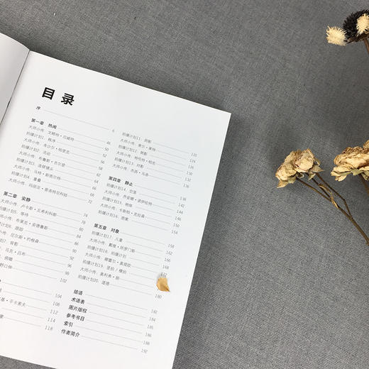 【旗舰正版】街头摄影手册：摄影大师都曾练过的20堂必修课摄影艺术家作品集 中国摄影大师摄影家摄影作品集 人物风景照片书籍—浙江摄影出版社 商品图2