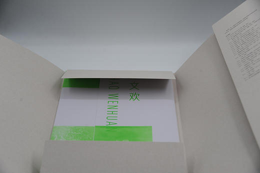 邵文欢  原相印纸系列 作品赏析集摄影艺术品当代摄影大师成名作摄影高清作品照片解析摄影书籍摄影画册精装图鉴 摄影艺术鉴赏品鉴—浙江摄影出版社 商品图4