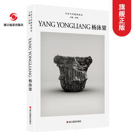 中国当代摄影图录：杨泳梁精装 刘铮 观念摄影艺术家世界当代摄影大师成名作摄影高清作品集/新纪实摄影照片解析/摄影作品画册鉴—浙江摄影出版社