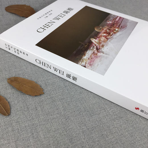 中国当代摄影图录 陈维 刘铮著 当代摄影大师成名作摄影高清作品集纪实摄影照片解析摄影书籍摄影画册精装图鉴 摄影艺术鉴赏品鉴—浙江摄影出版社 商品图2