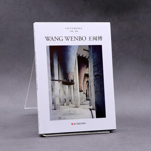 中国当代摄影图录：王闻博精装 刘铮 观念摄影艺术家世界当代摄影大师成名作摄影高清作品集/新纪实摄影照片解析/摄影作品画册鉴—浙江摄影出版社 商品图1