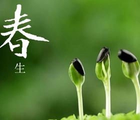 春季养生法宝