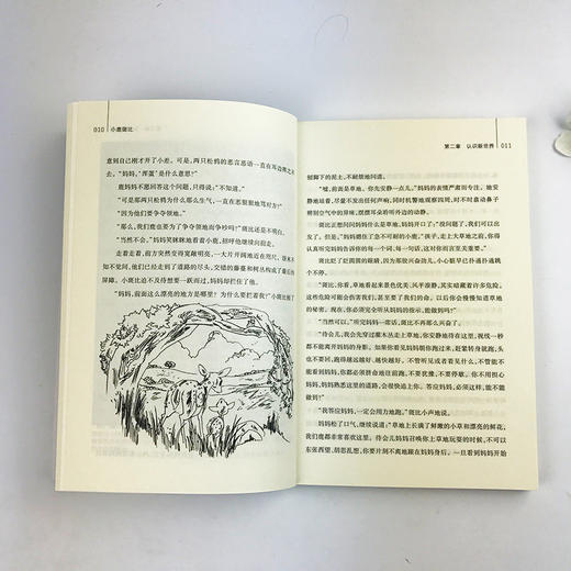 小鹿斑比(插图本)童年书系正版包邮青少版/正版世界经典名著故事书/儿童书7-10-12岁五四三年级小学生课外书必读儿童文学书籍—浙江摄影出版社 商品图4