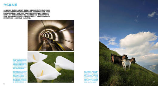 【旗舰正版】摄影那些事儿 摄影基础知识教程器材理论教材/构图和用光/风景人像建筑静物动物拍摄技巧书籍—浙江摄影出版社 商品图3