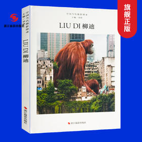 中国当代摄影图录：柳笛精装刘铮 观念摄影艺术家世界当代摄影大师成名作摄影高清作品集/新纪实摄影照片解析/摄影作品画册鉴赏—浙江摄影出版社