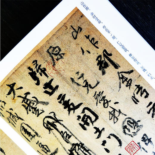 【法帖任选2本包邮】颜真卿祭侄文稿 南山法帖颜真卿行书毛笔字帖书法教程书 行书法原碑帖全貌书法临摹碑帖教材颜真卿字帖教程—浙江摄影出版社 商品图3