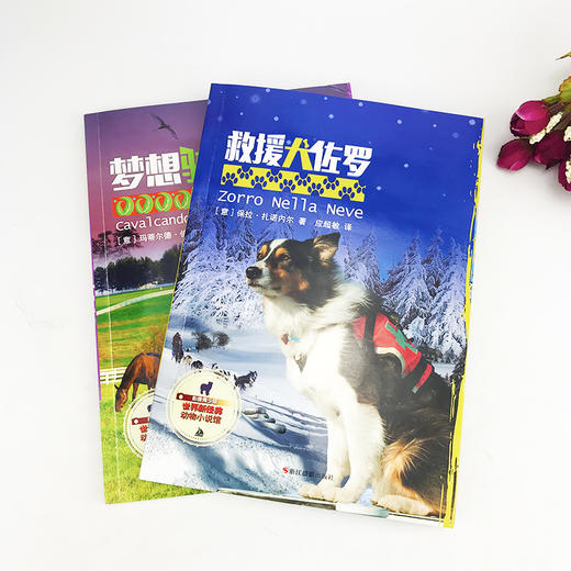 救援犬佐罗（影像青少版）彩色照片插图动物小说儿童冒险成长故事书儿童文学8-10-12岁小学生课外阅读书籍4-6年级必读畅销老师推荐—浙江摄影出版社 商品图1