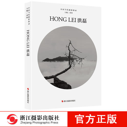 中国当代摄影图录：洪磊精装 刘铮 观念摄影艺术家世界当代摄影大师成名作摄影高清作品集/新纪实摄影照片解析/摄影作品画册鉴—浙江摄影出版社 商品图0