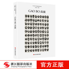 中国当代摄影图录：高波精装 刘铮 观念摄影艺术家世界当代摄影大师成名作摄影高清作品集/新纪实摄影照片解析/摄影作品画册鉴—浙江摄影出版社