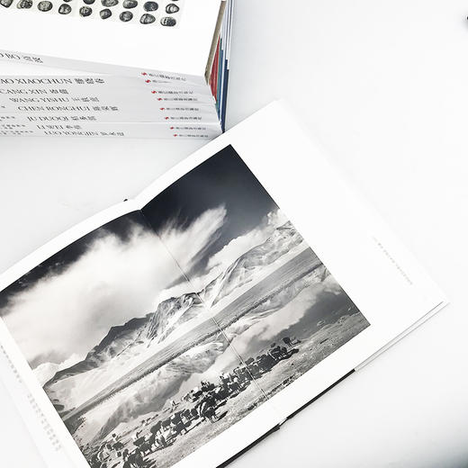 精装中国当代摄影图录冯建国/王轶庶/陈荣辉/桔多淇等全10册观念摄影艺术家世界当代摄影大师成名作摄影照片解析/摄影作品画册鉴—浙江摄影出版社 商品图4
