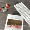 中国当代摄影图录 姜振庆/陈维/洪浩/韩磊/黄庆军/李洁军/王远凌/张辉/朱浩/王晴 摄影照片解析摄影画册精装图鉴 摄影艺术鉴赏品鉴—浙江摄影出版社 商品缩略图4