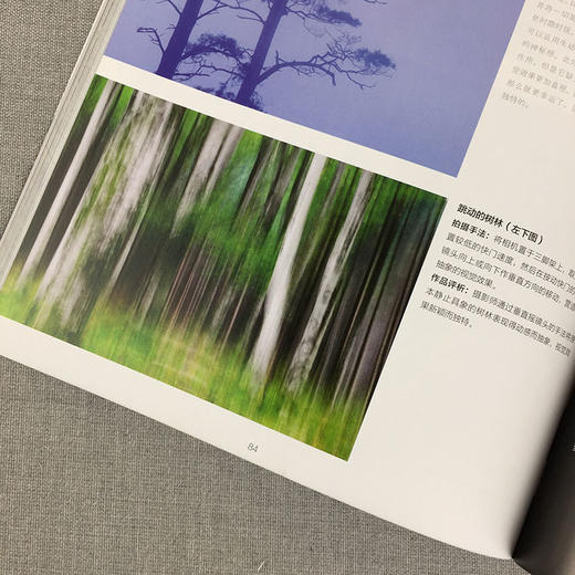 摄影必修课 审美与表现 色彩与光线摄影设计绘画配色与构图基础教材摄影设计书籍构图光线基础教材场景视觉绘画 艺术绘画与摄影—浙江摄影出版社 商品图4