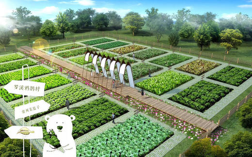 精美小菜园 一亩地一年认养 商品图0