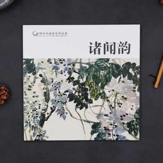 诸闻韵 中国历代画家佳作品鉴 花鸟画集高清册页/中国传世名画美术鉴赏临摹/初学者经典绘画技法诸闻韵画竹//当代中国画名家丛谱—浙江摄影出版社 商品图1