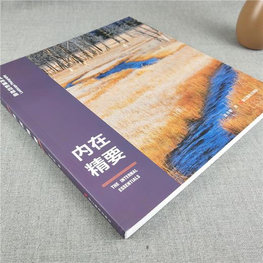 内在精要/风光摄影四部曲摄影基础知识教程器材理论教材/构图和用光/风景人像建筑静物动物拍摄技巧/摄影设计绘画用光与构图畅销书—浙江摄影出版社 商品图1