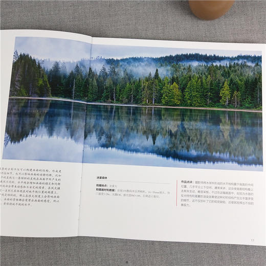 主体刻画/风光摄影四部曲摄影基础知识教程器材理论教材/构图和用光/风景人像建筑静物动物拍摄技巧/摄影设计绘画用光与构图畅销书—浙江摄影出版社 商品图3