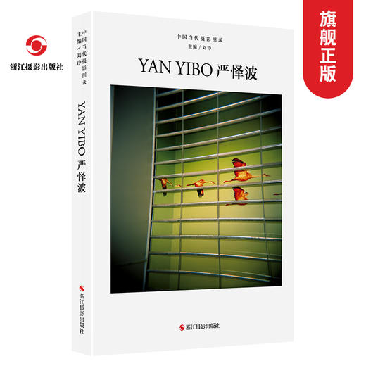 中国当代摄影图录：严怿波精装 刘铮 观念摄影艺术家世界当代摄影大师成名作摄影高清作品集/新纪实摄影照片解析/摄影作品画册鉴—浙江摄影出版社 商品图0