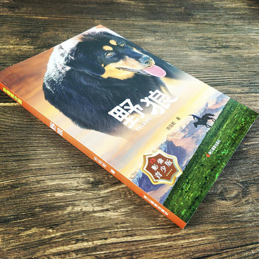 野狼（影像青少版）六五四三年级小学生课外书必读儿童文学书籍/许廷旺动物小说全集/少儿图书8-12岁彩图插画正版内蒙古草原犬故事—浙江摄影出版社 商品图2