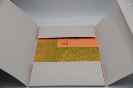 张兰坡 原相印纸系列 作品赏析集摄影艺术品当代摄影大师成名作摄影高清作品照片解析摄影书籍摄影画册精装图鉴 摄影艺术鉴赏品鉴—浙江摄影出版社 商品图3